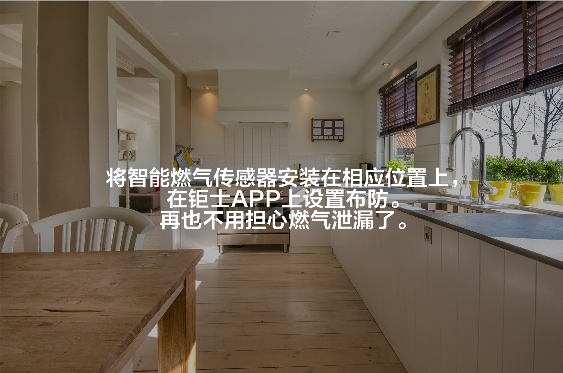 燃?xì)鈧鞲衅鱛04.jpg