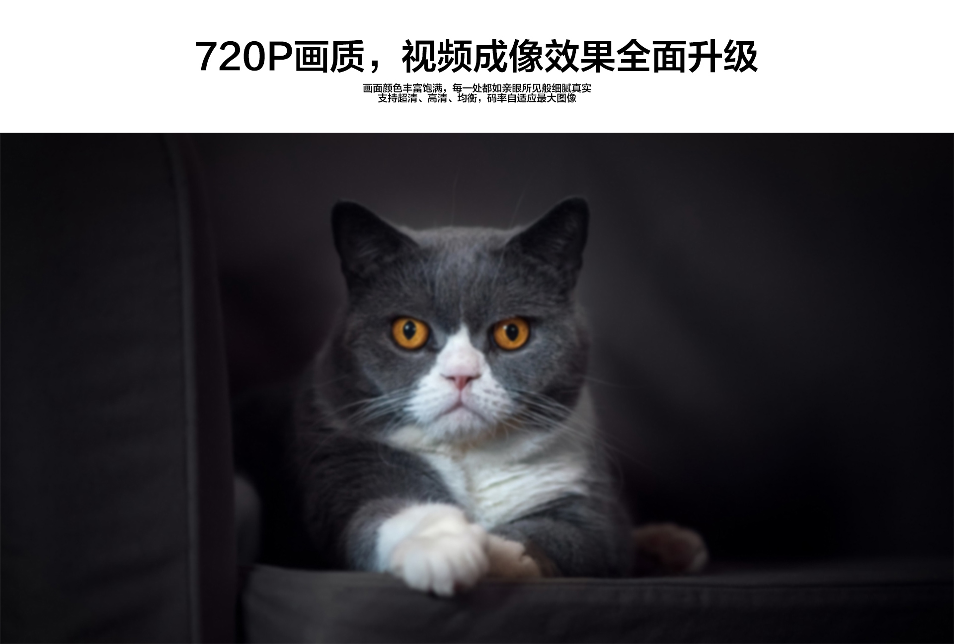 螢石云C2C-_02.jpg