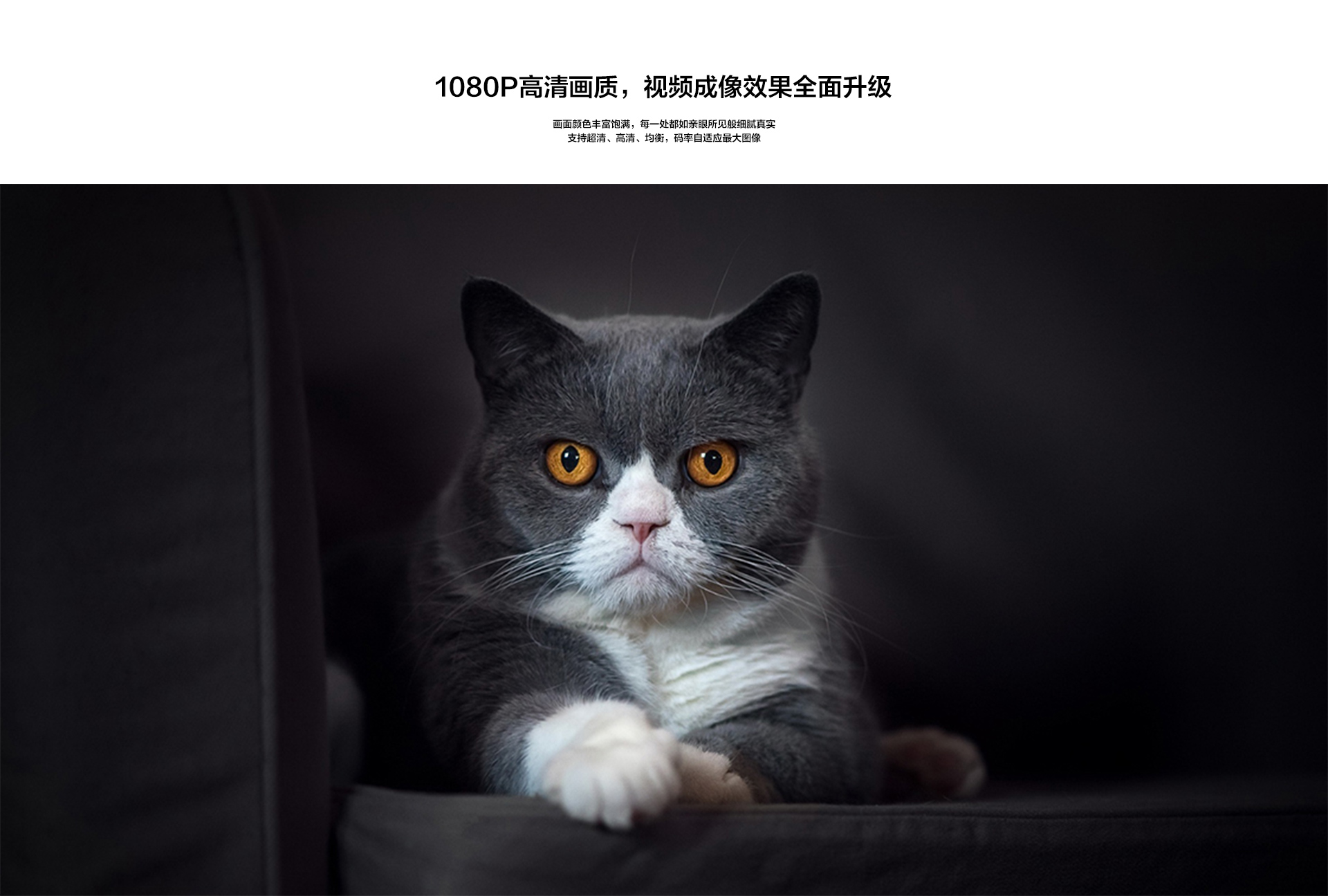 螢石云C6C_02.jpg