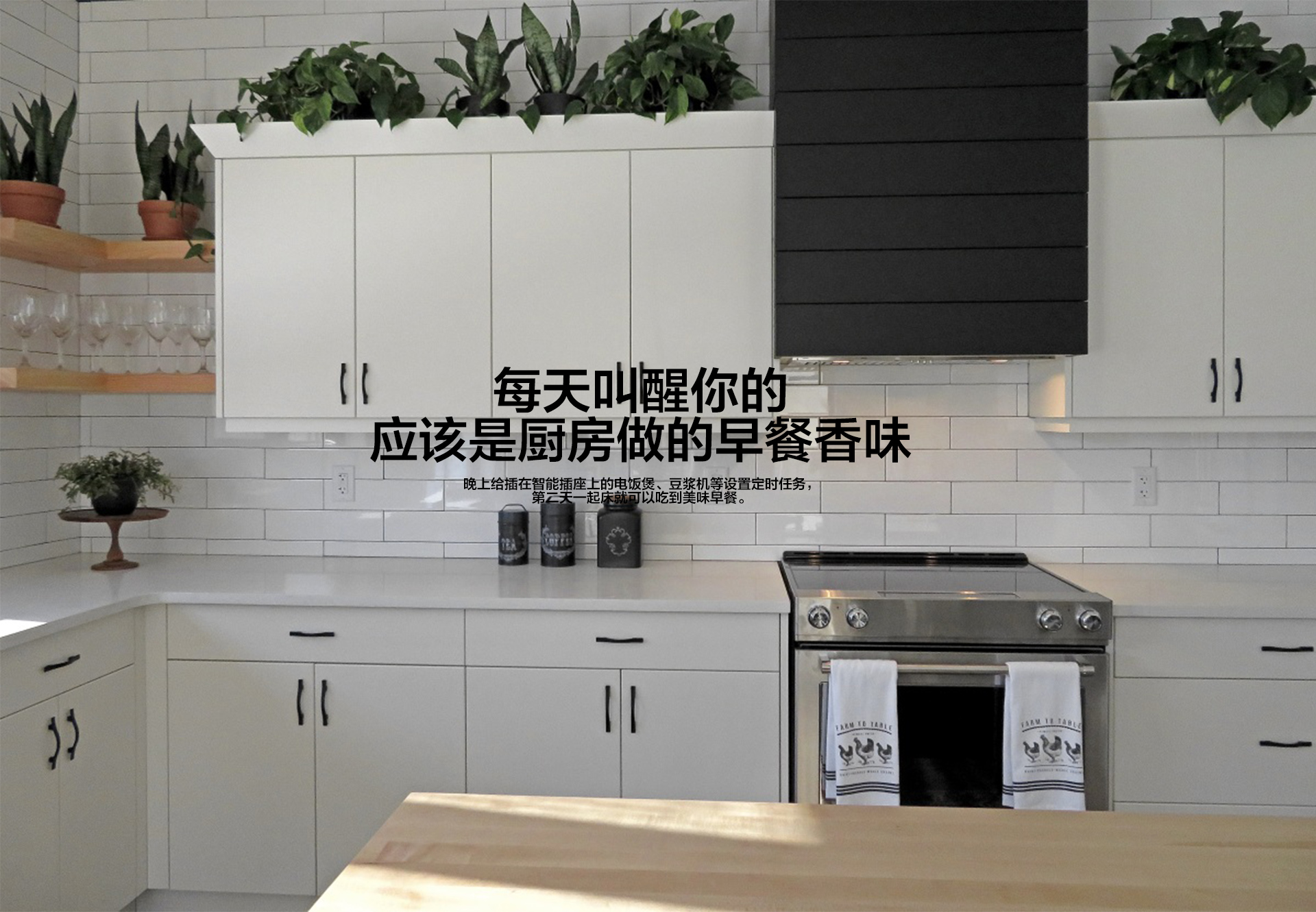 網(wǎng)絡插座_03.jpg